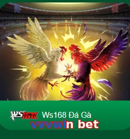 vvvwin bet